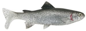 Uni cat gumová nástraha trout bg 20 cm 105 g