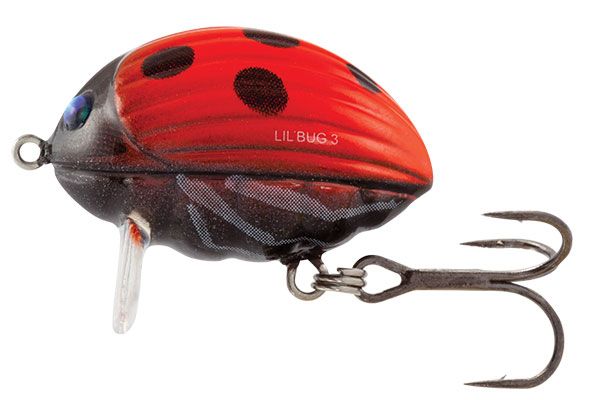 Salmo wobler lil bug floating ladybird - 2 cm 2